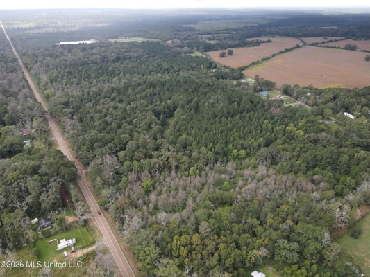17 Acres for Sale in Forest, Scott County, MS