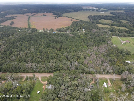 17 Acres for Sale in Forest, Scott County, MS