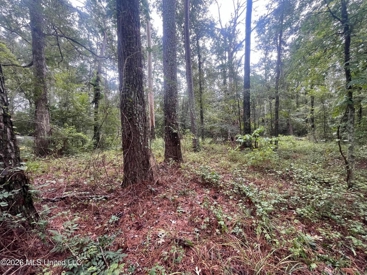 Listing 205