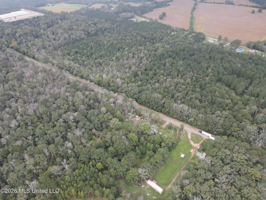17 Acres for Sale in Forest, Scott County, MS