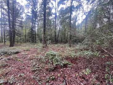 Listing 205