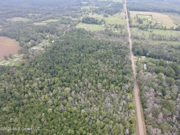 Listing 205