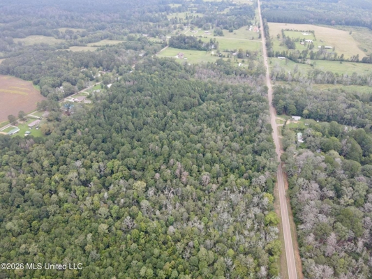 17 Acres for Sale in Forest, Scott County, MS