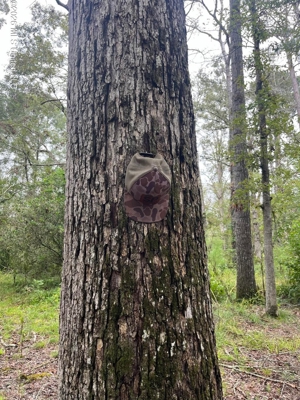 17 Acres for Sale in Forest, Scott County, MS