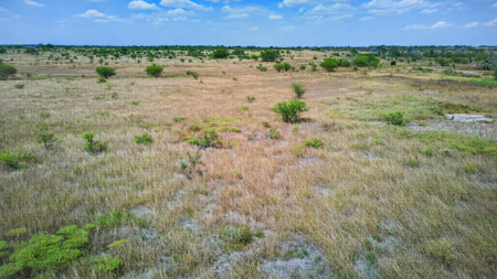 Turnkey 180+ Acre Ranch on US 281 with 4 Homes & Income - image 40