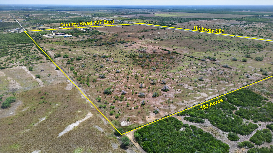 No Caption