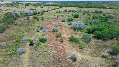 Turnkey 180+ Acre Ranch on US 281 with 4 Homes & Income - image 37