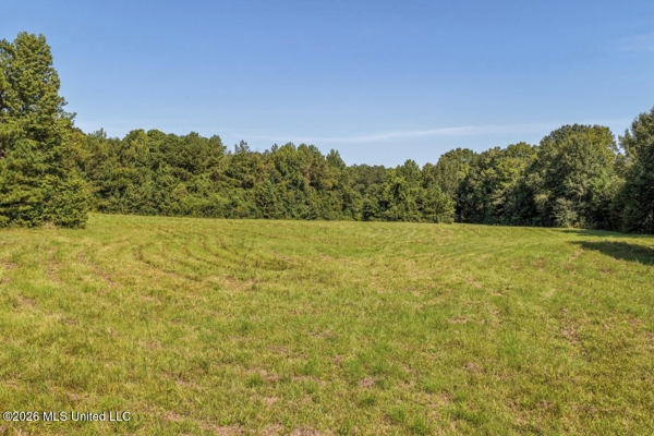 52.25± Acres in Copiah County, MS Near Hazlehurst
