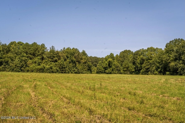 52.25± Acres in Copiah County, MS Near Hazlehurst