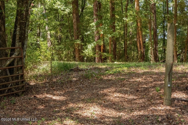52.25± Acres in Copiah County, MS Near Hazlehurst