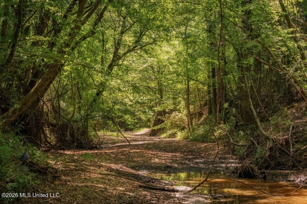 52.25± Acres in Copiah County, MS Near Hazlehurst
