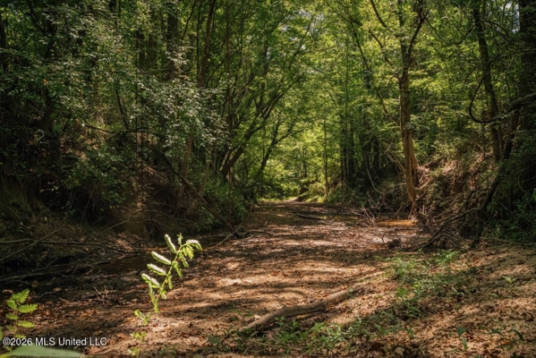 52.25± Acres in Copiah County, MS Near Hazlehurst