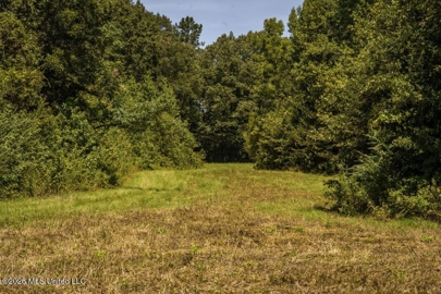 Listing 161