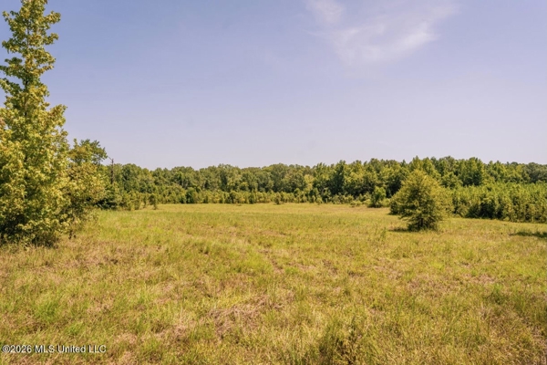 52.25± Acres in Copiah County, MS Near Hazlehurst