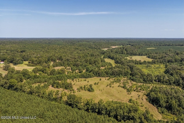 52.25± Acres in Copiah County, MS Near Hazlehurst