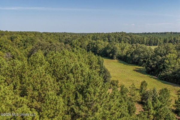 52.25± Acres in Copiah County, MS Near Hazlehurst