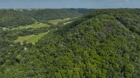 Mississippi River Valley Legacy Retreat | 42 Acres of Seclusion - image 35