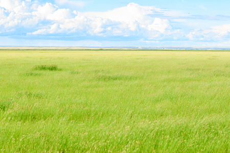 The Great Falls Place | Malta, Montana - image 16