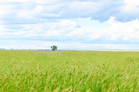 The Great Falls Place | Malta, Montana - image 17