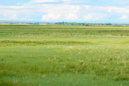 The Great Falls Place | Malta, Montana - image 29