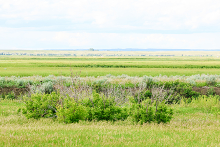 The Great Falls Place | Malta, Montana - image 30