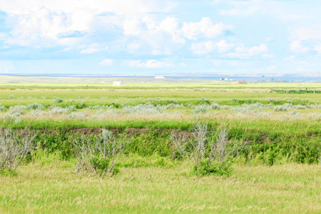 The Great Falls Place | Malta, Montana - image 12