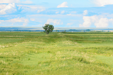 The Great Falls Place | Malta, Montana - image 10