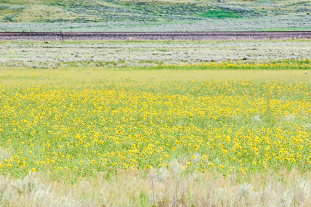 The Great Falls Place | Malta, Montana - image 31