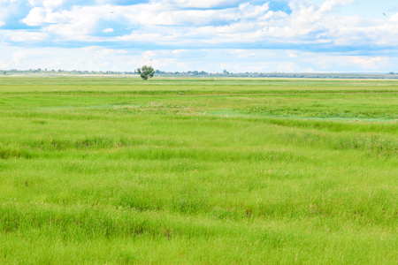 The Great Falls Place | Malta, Montana - image 19