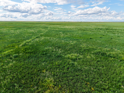 The Great Falls Place | Malta, Montana - image 11
