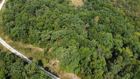 10.4± Acres Near Pomme de Terre Lake & Lucas Oil Speedway - image 10
