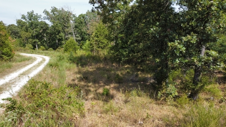 10.4± Acres Near Pomme de Terre Lake & Lucas Oil Speedway - image 14
