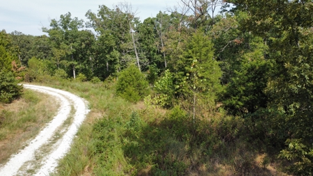 10.4± Acres Near Pomme de Terre Lake & Lucas Oil Speedway - image 15