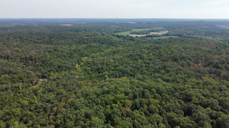 10.4± Acres Near Pomme de Terre Lake & Lucas Oil Speedway - image 4