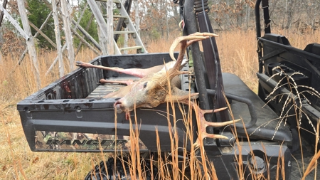 Ultimate Deer & Turkey Hunting 1 Hour West of St. Louis - image 7