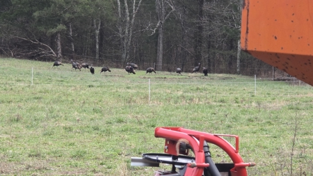 Ultimate Deer & Turkey Hunting 1 Hour West of St. Louis - image 8