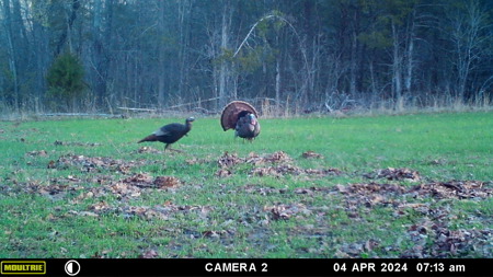 Ultimate Deer & Turkey Hunting 1 Hour West of St. Louis - image 16