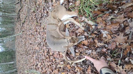Ultimate Deer & Turkey Hunting 1 Hour West of St. Louis - image 22