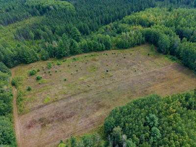 362 ± Acre Northwoods Property with Private Lake Shirley, WI - image 49
