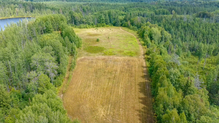 362 ± Acre Northwoods Property with Private Lake Shirley, WI - image 50