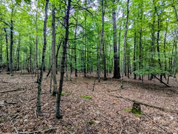 Listing 79