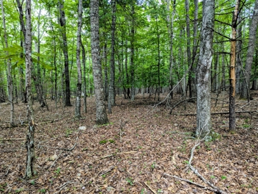 Listing 79