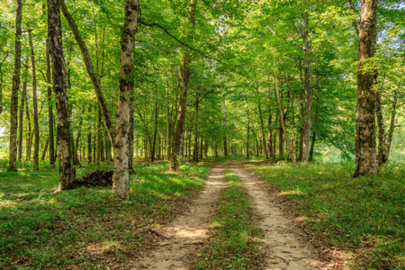 190-Acre Recreational & Income-Producing Property! - image 6