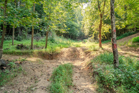 190-Acre Recreational & Income-Producing Property! - image 18