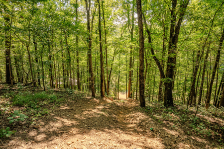 190-Acre Recreational & Income-Producing Property! - image 24