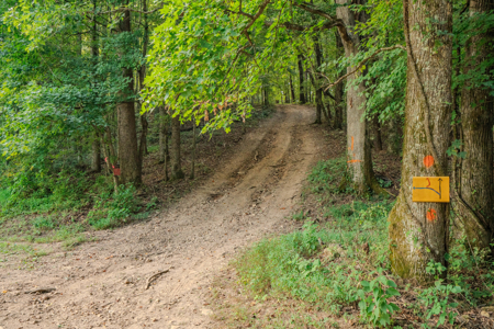 190-Acre Recreational & Income-Producing Property! - image 13
