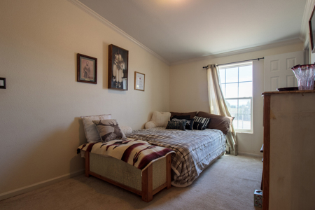 Secluded 4-bedroom Hotchkiss Country Home on 2.9 Acres - image 22