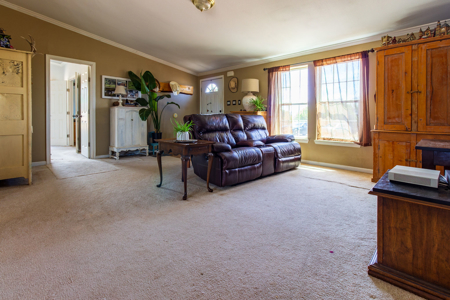 Secluded 4-bedroom Hotchkiss Country Home on 2.9 Acres - image 5