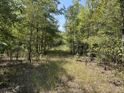 Outdoorsman Dream Property in Ashley County, AR - image 8