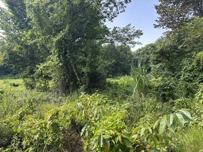 Outdoorsman Dream Property in Ashley County, AR - image 6
